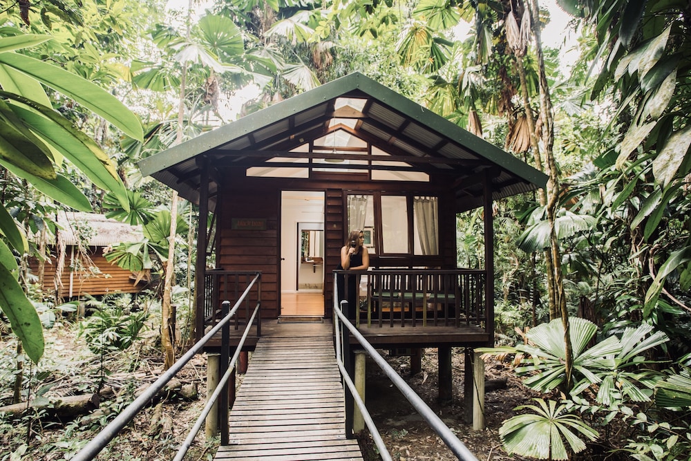 Rainforest Cabin photo 3