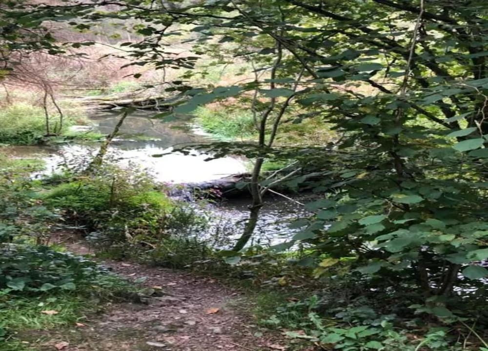 Cottage photo 2