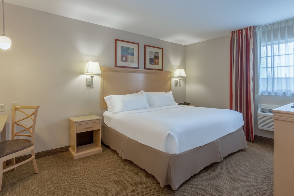 Suite, 1 King Bed - Photo 1
