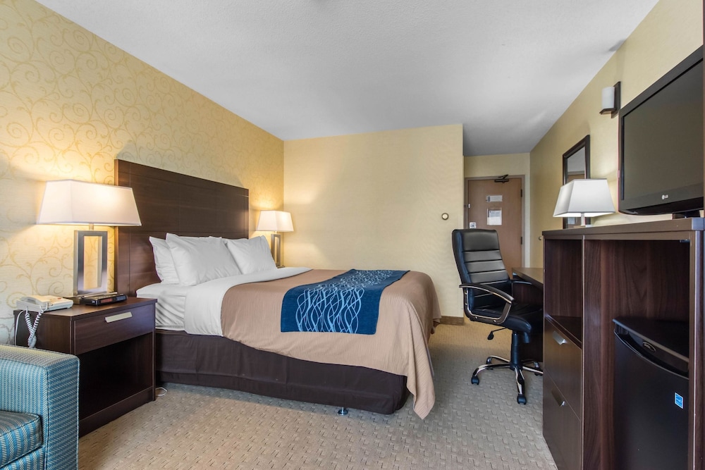 Room, 1 Queen Bed with Sofa bed, Non Smoking photo 2