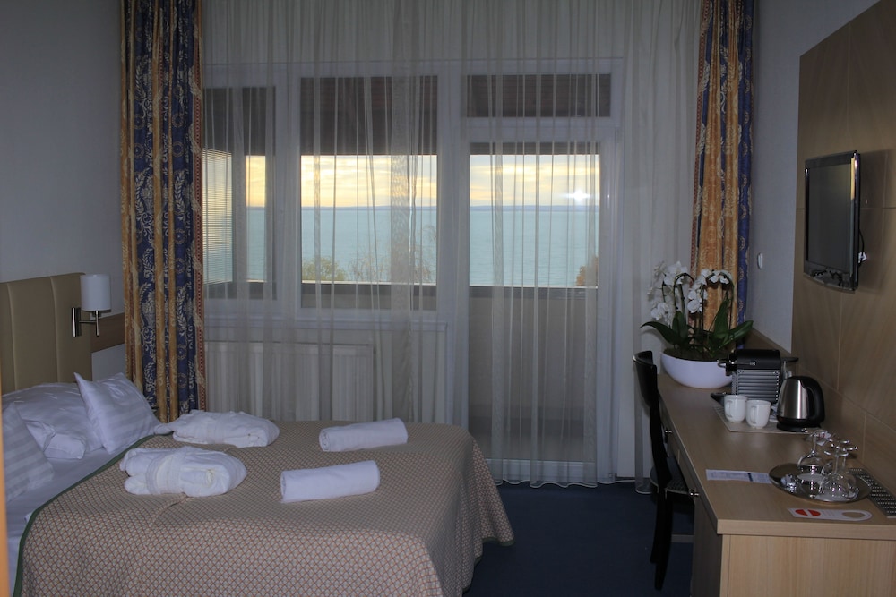 Superior Double or Twin Room photo 3
