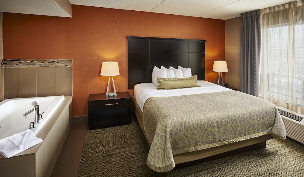 Suite, 1 Bedroom, Kitchen (Dining) - Photo 2