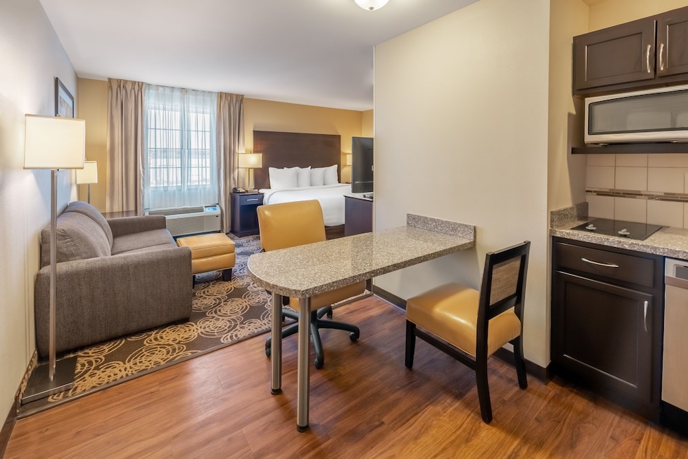 Standard Studio, 1 King Bed with Sofa bed
