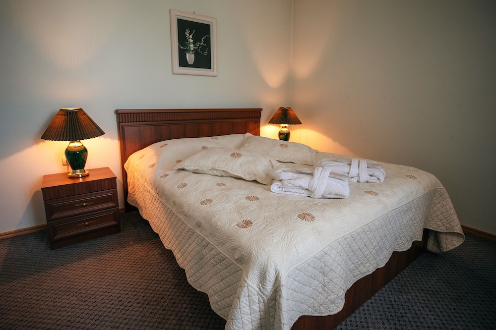 Deluxe Room photo 2