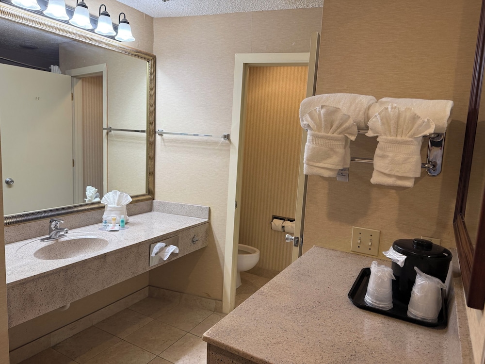 Suite, 1 King Bed, Non Smoking - Photo 2