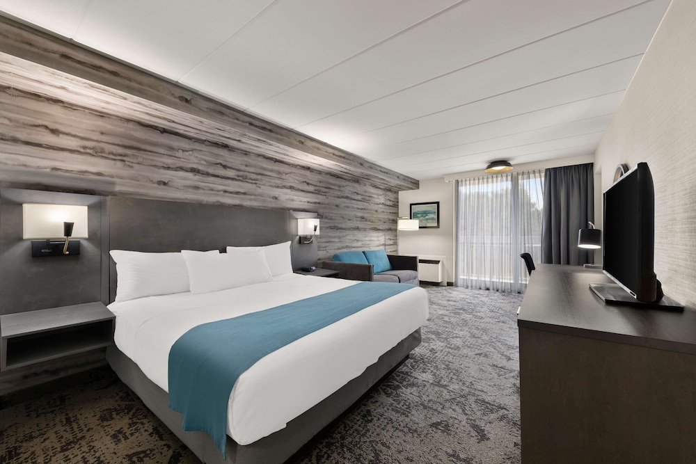 Standard Room, 1 King Bed, Non Smoking, Balcony (Walk-in Shower;with Single Sofabed) - Photo 4