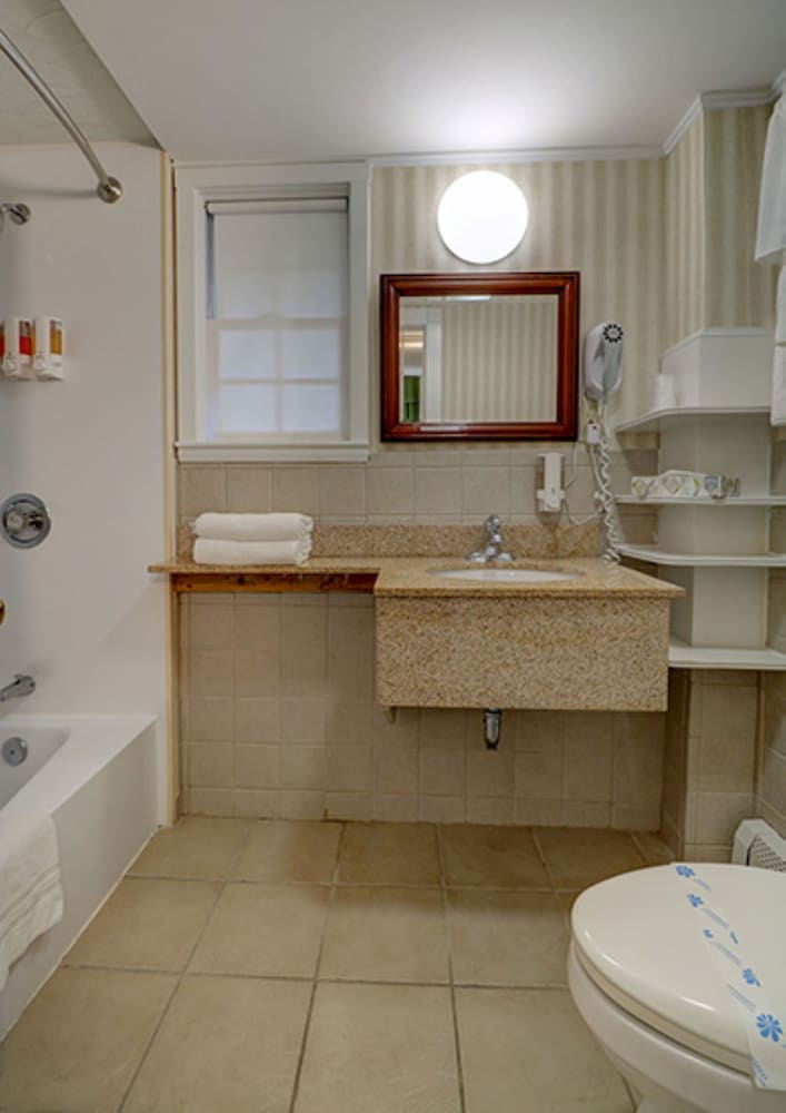 Suite (Lower Level) photo 3