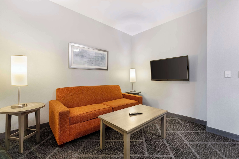 Room, 1 King Bed, Accessible (With Sofabed) - Photo 1