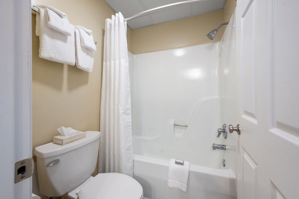 Pet Friendly Suite photo 3