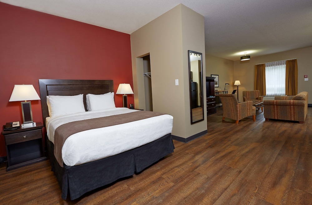 Room, 1 Queen Bed, Non Smoking (Efficiency, Pet Friendly) - Photo 2