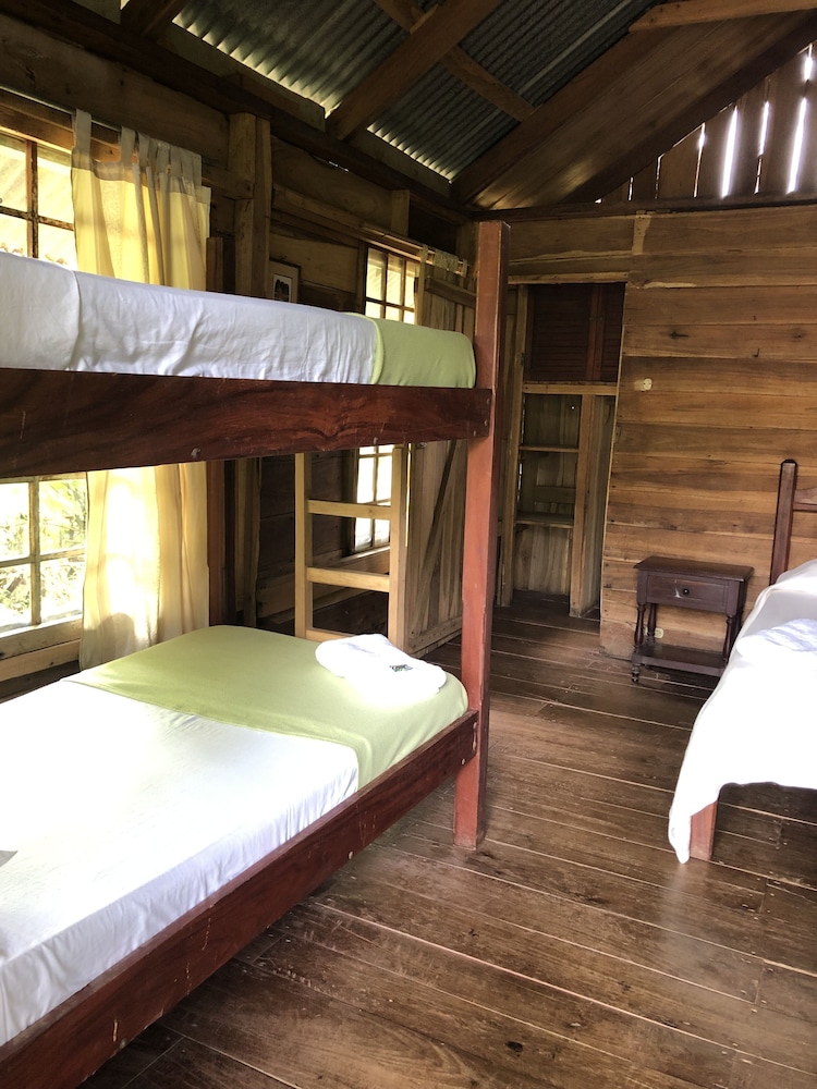 Traditional Bungalow, 1 Bedroom, Garden View photo 2
