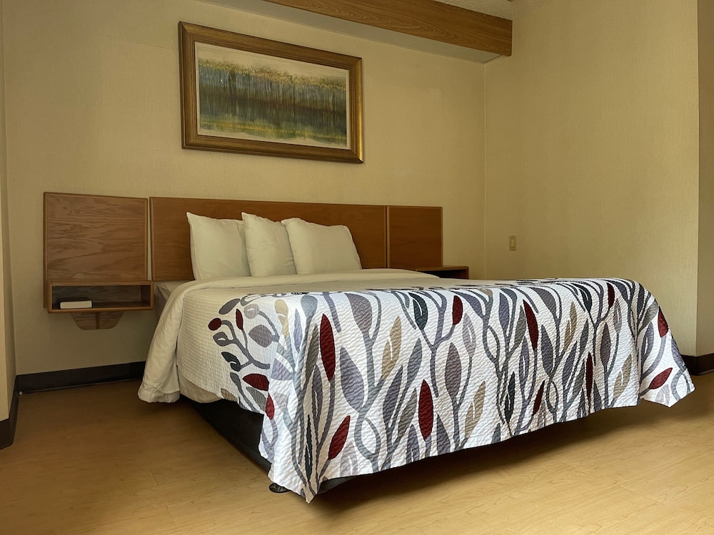 Deluxe Room, 1 Queen Bed, Accessible, Non Smoking (Roll-In Shower) - Photo 1