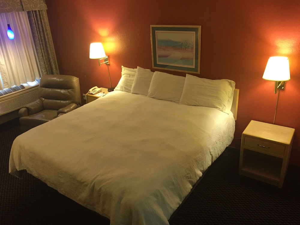Room, 1 King Bed, Non Smoking - Photo 3
