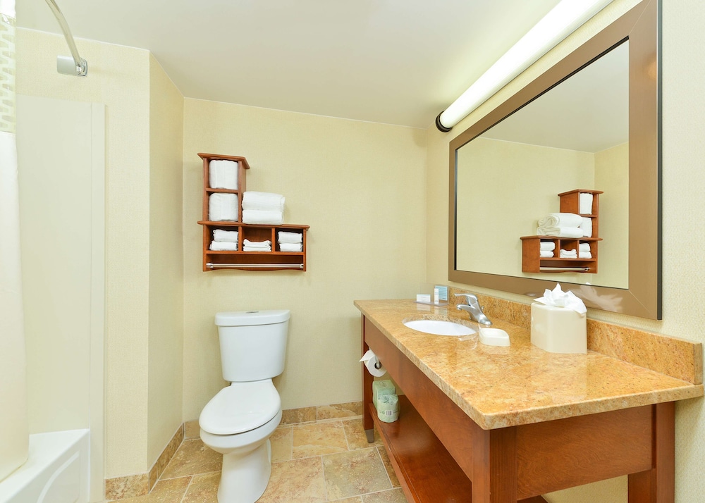 Room, 1 King Bed, Non Smoking (Hearing) - Photo 4