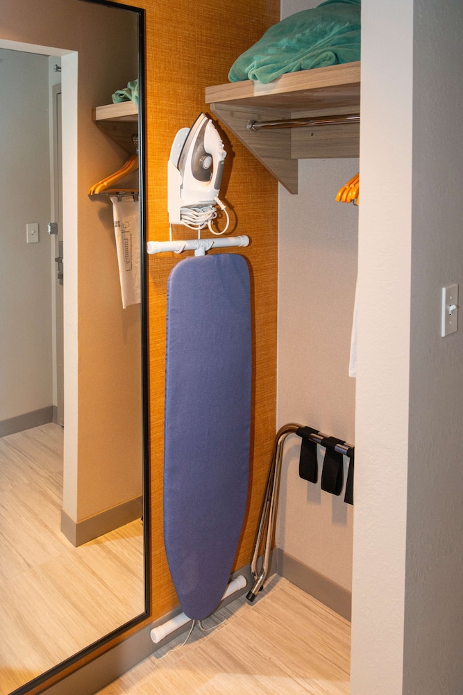 Room, 1 King Bed, Accessible, Bathtub (Mobility & Hearing) - Photo 4