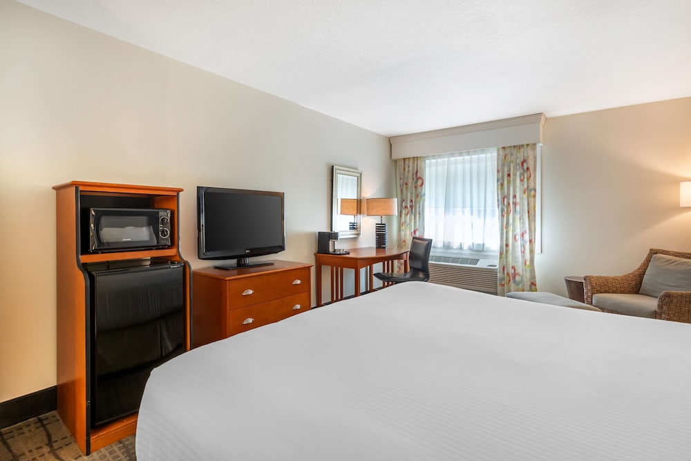 Standard Room, 1 King Bed, Non Smoking, Refrigerator - Photo 15