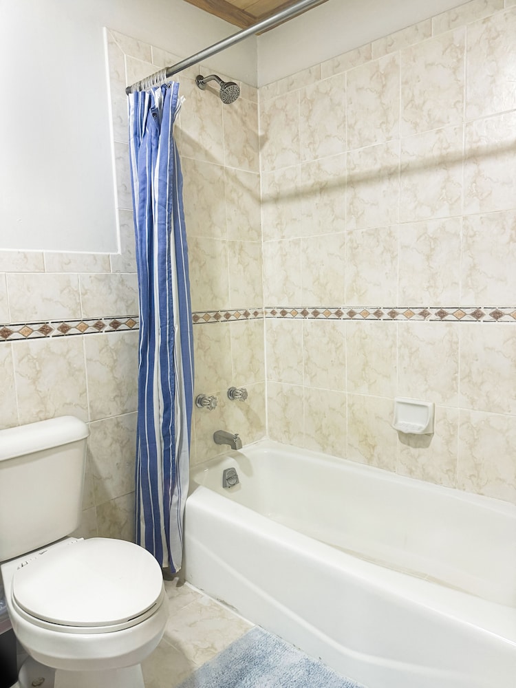 Comfort Studio Suite photo 2