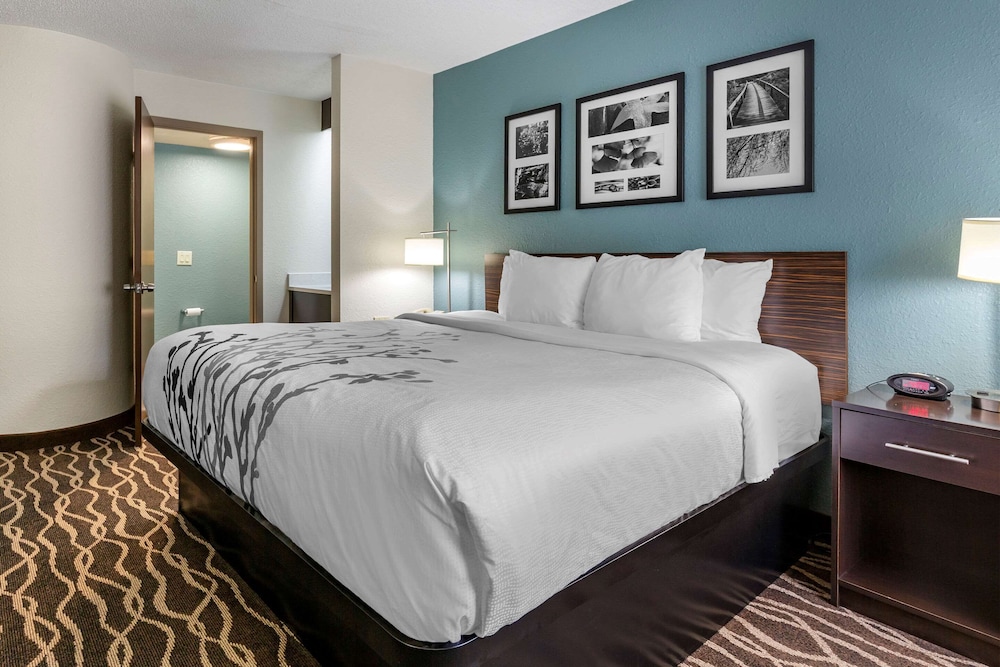Standard Room, 1 King Bed, Non Smoking - Photo 5