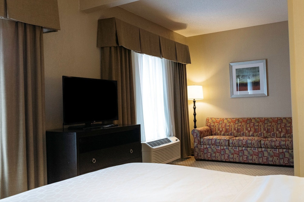 Suite, 1 King Bed, Accessible (Mobility, Roll-In Shower) photo 2