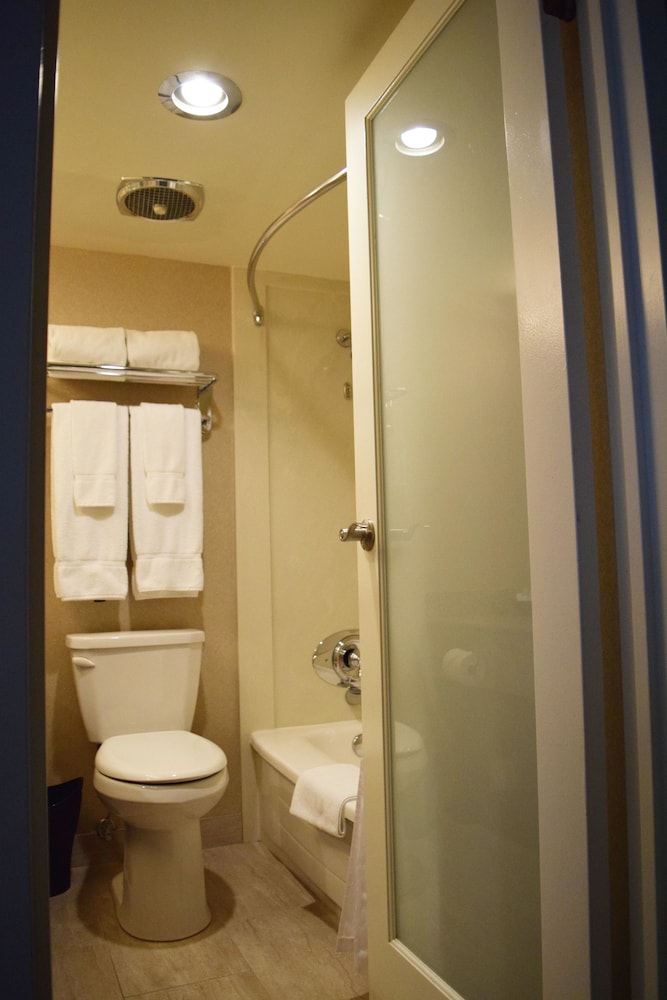 Superior Suite - Photo 5
