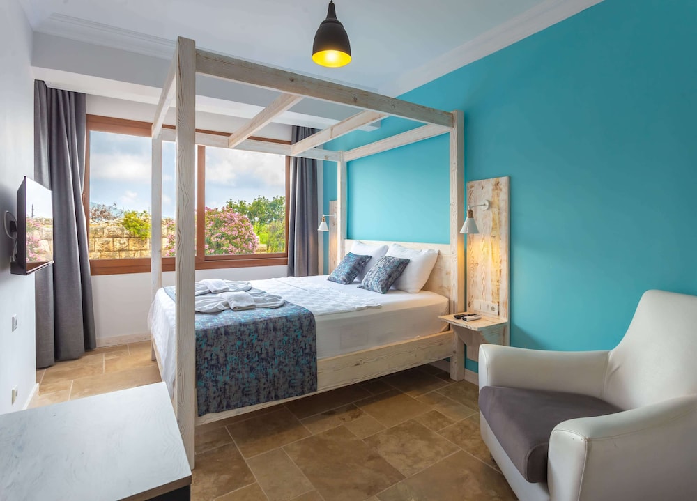 Deluxe Double Room photo 1
