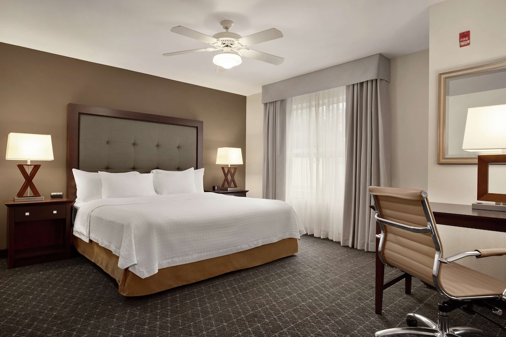 Studio Suite, 1 King Bed - Photo 4