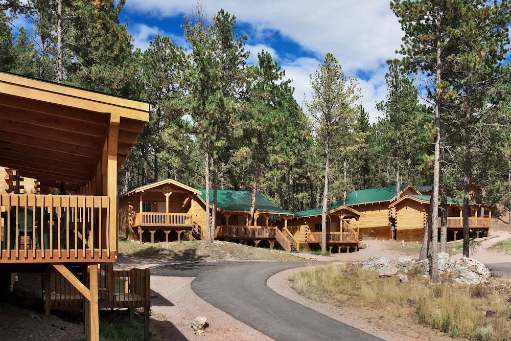Cabin, 1 Bedroom, Kitchen
