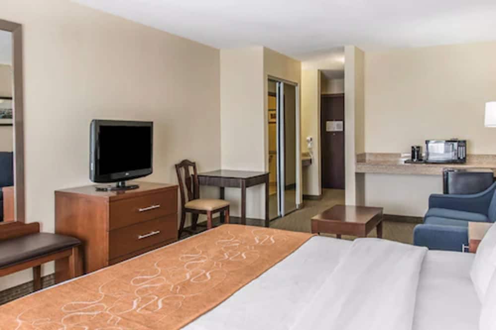 Suite, 1 King Bed, Non Smoking photo 3