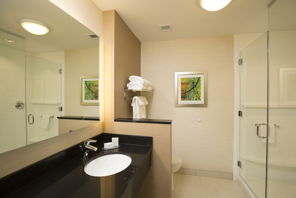 Executive Suite, 1 King Bed with Sofa bed