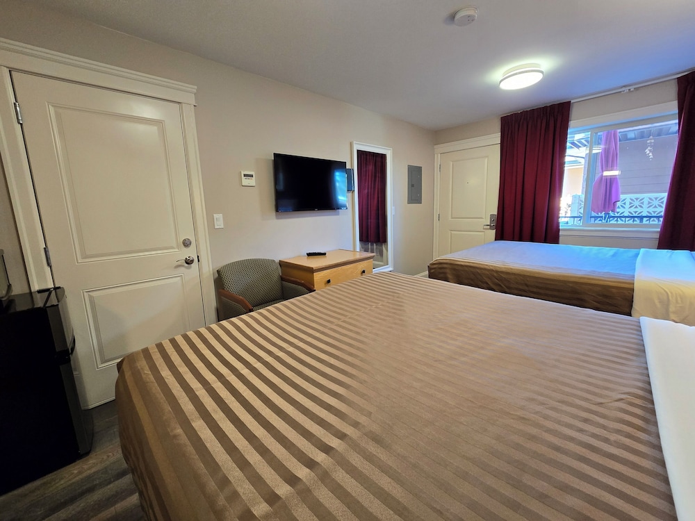 Queen Two Bed Suite photo 3