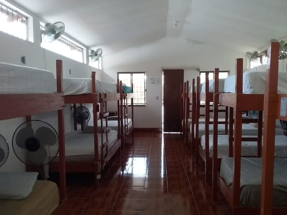 Basic Shared Dormitory, Mixed Dorm (16 single beds) photo 1