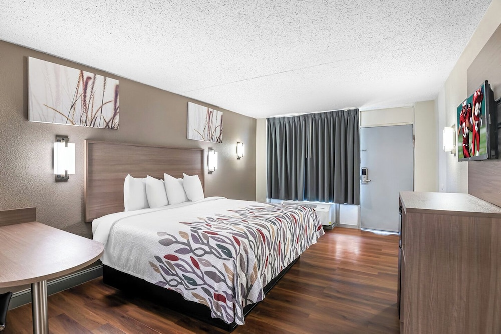 Superior Room, 1 King Bed, Smoking - Photo 1