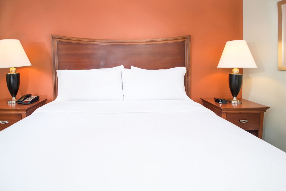 1 King Bed - Photo 2