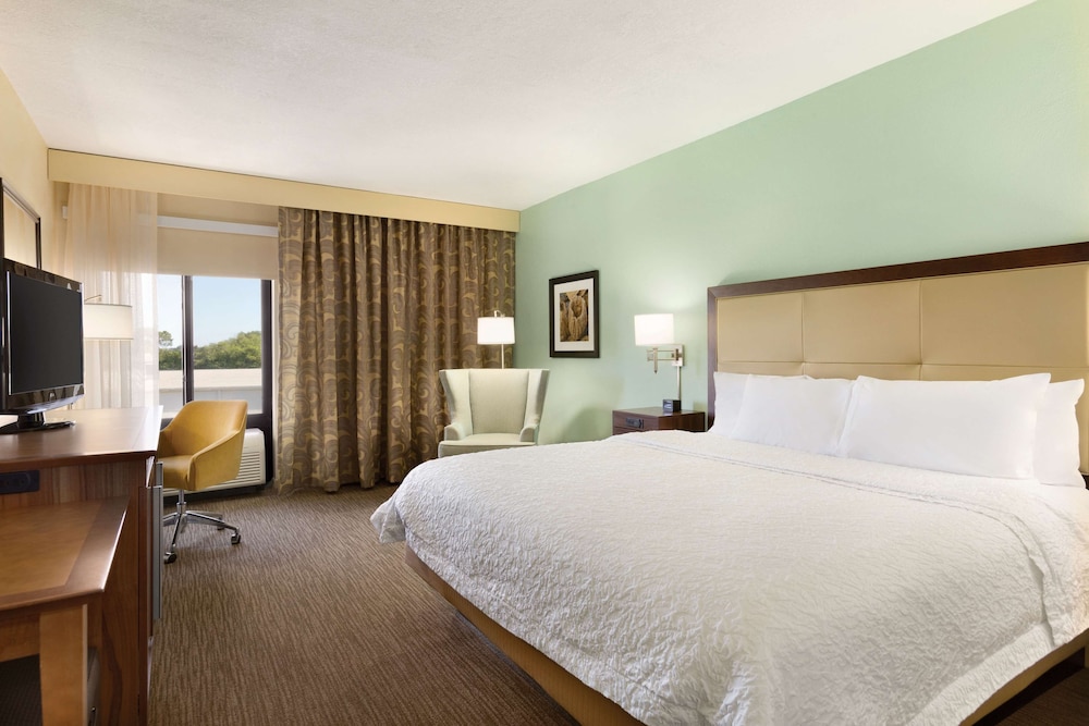 Suite, 1 King Bed, Accessible, Non Smoking - Photo 3