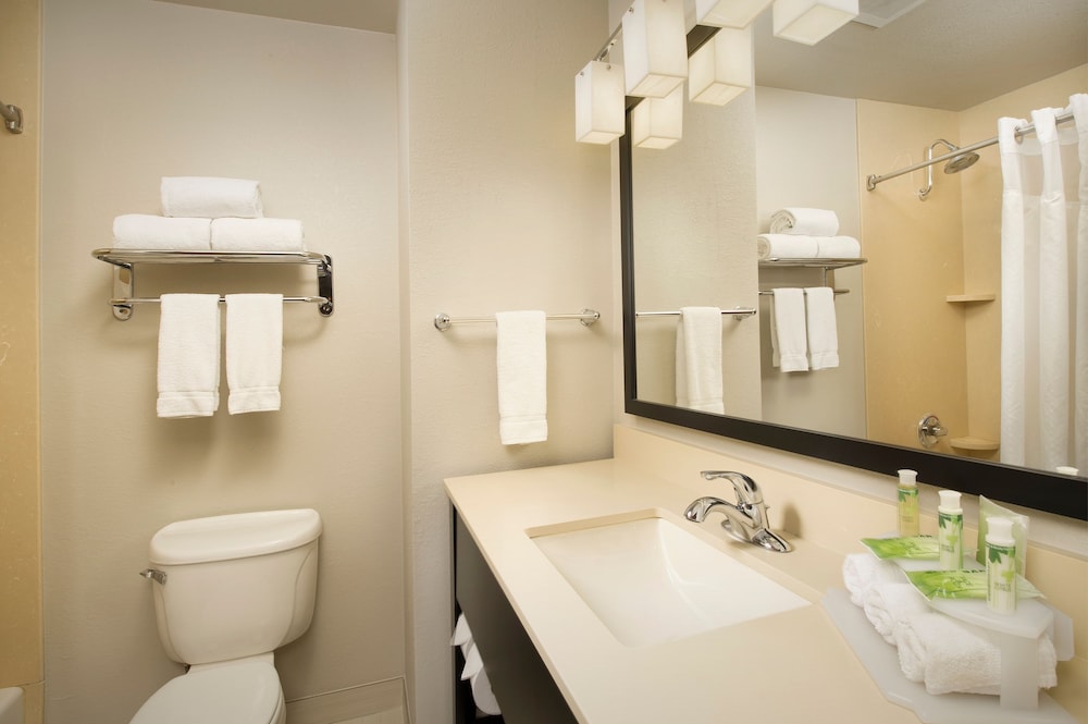 Suite, 1 King Bed, Accessible (Mobility, Accessible Tub) - Photo 4
