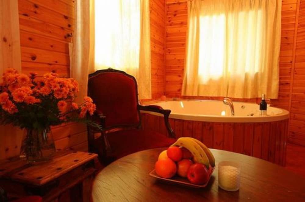 Alon Cabin photo 3