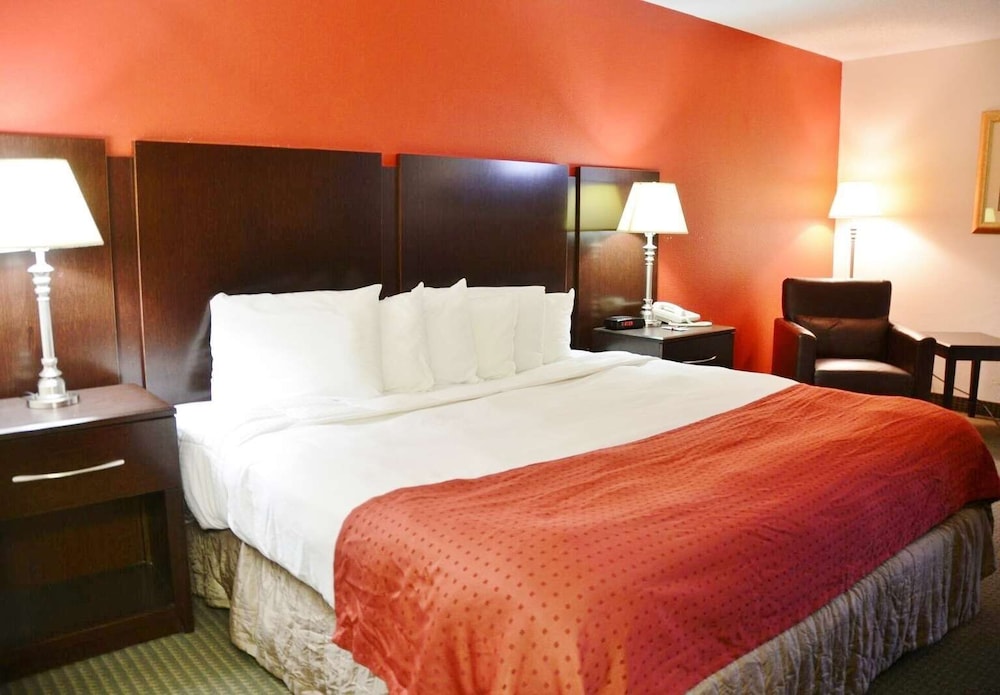 Room, 1 King Bed, Non Smoking photo 1
