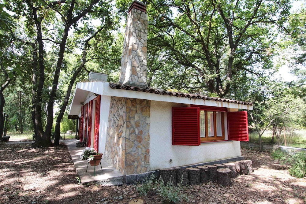 Chalet dans les bois niché dans la forêt de chênes à Monterosso Etneo, Photo 12
