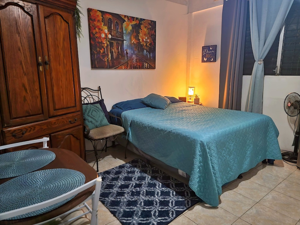 Habitación Ejecutiva, 1 Dormitorio, con Baño Privado, con Vista al Jardín