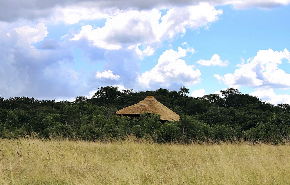 Tree Top Villa photo 1