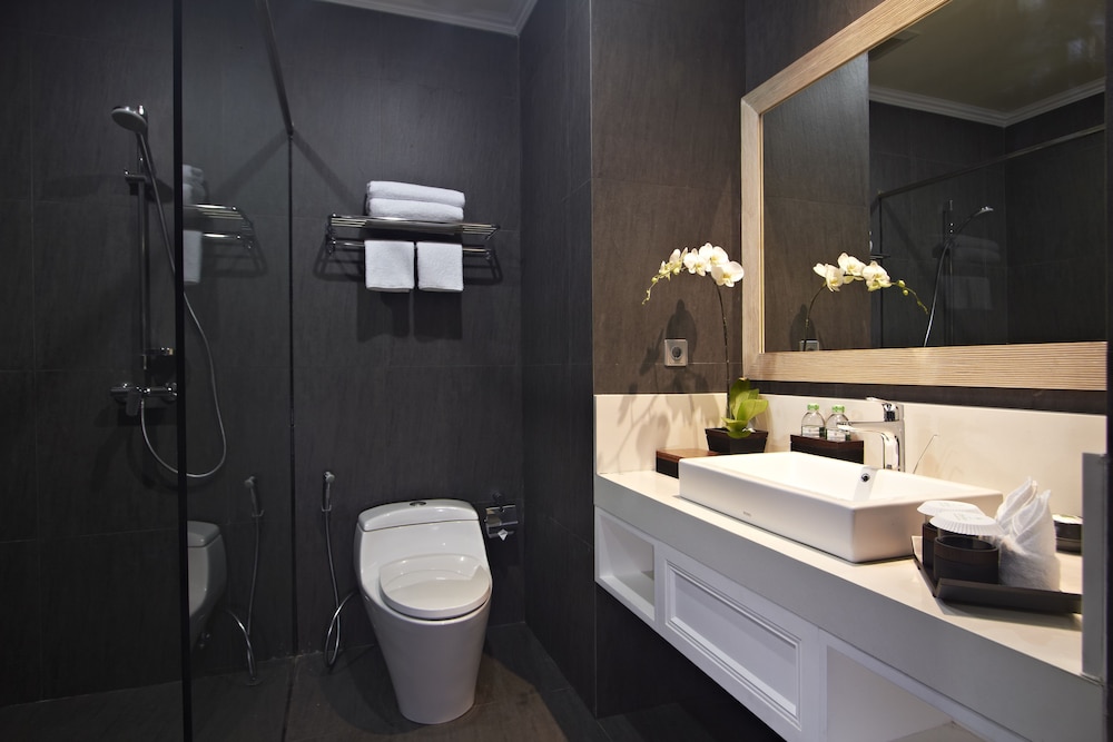 Deluxe Room - Photo 6