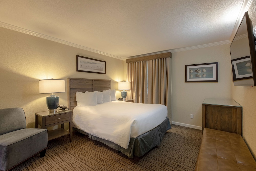 Suite, 1 Queen Bed, Kitchenette, Partial Ocean View (No Pets in room type) photo 2