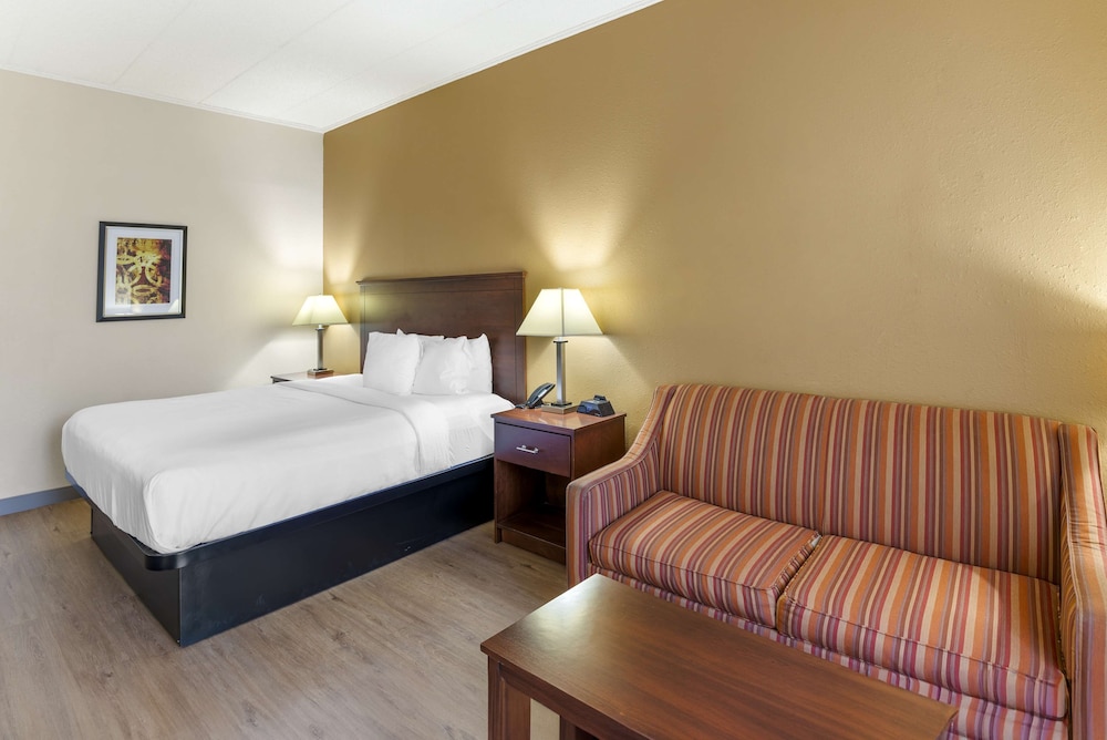 Standard Room, 1 King Bed, Non Smoking, Jetted Tub - Photo 3