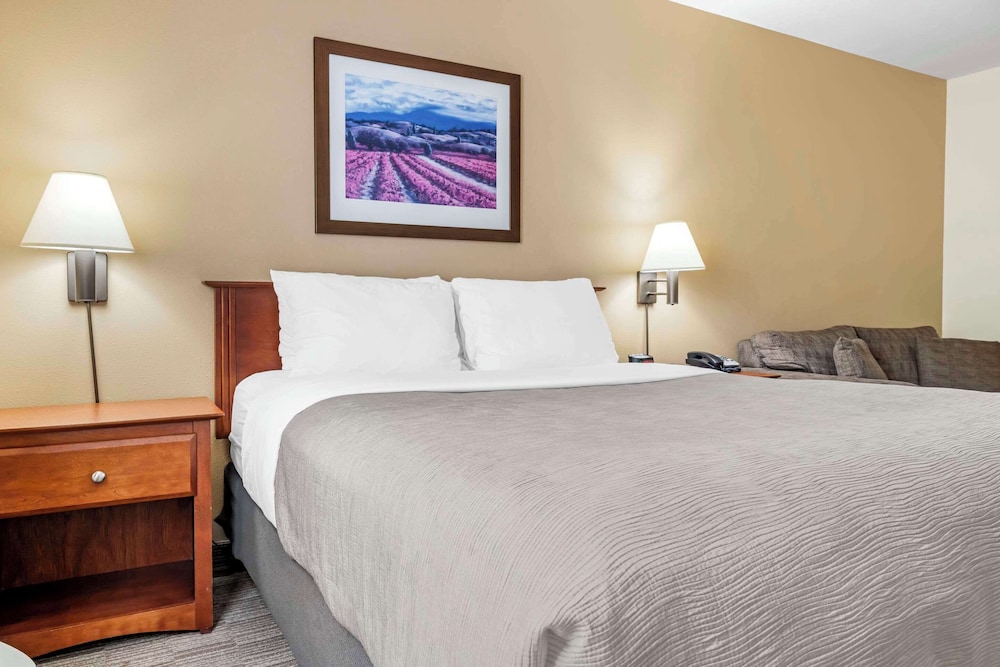 Standard Room, 1 Queen Bed with Sofa bed, Non Smoking - Photo 5