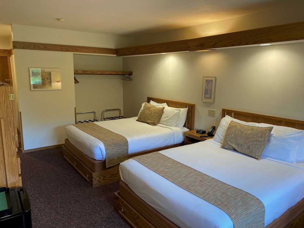 Double Room, 2 Queen Beds photo 3