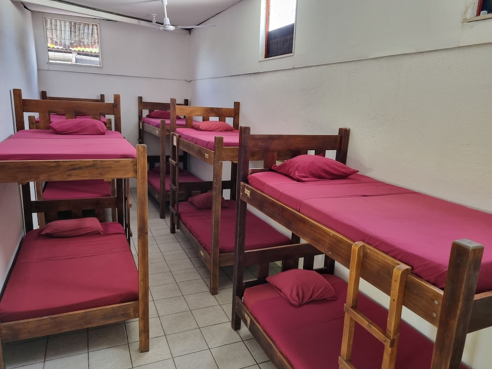 Basic Shared Dormitory photo 3