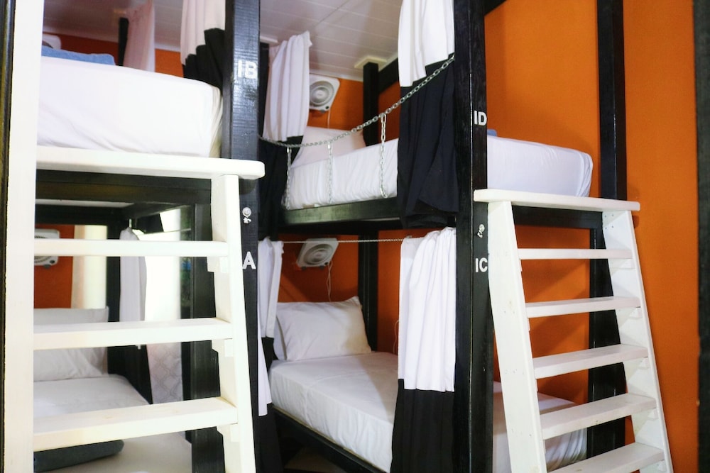 Basic Shared Dormitory, Mixed Dorm photo 2