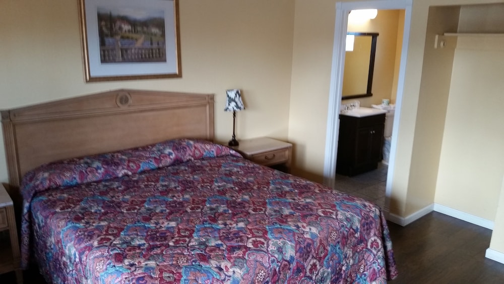 Deluxe Single Room, 1 King Bed photo 3