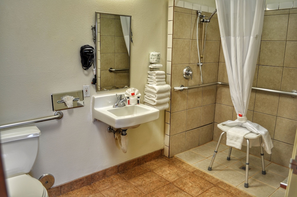 Room, 1 King Bed, Accessible, Roll-in Shower, Non Smoking - Photo 6
