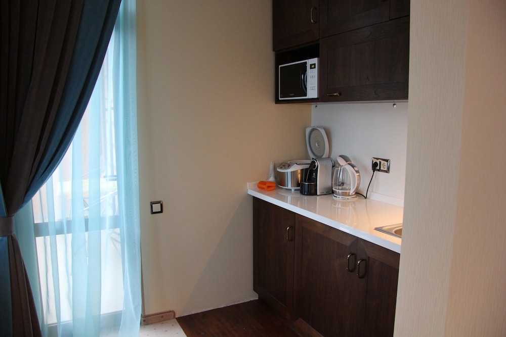 Studio, Kitchenette, Balcony photo 3